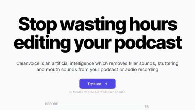 Cleanvoice AI _ Get rid of filler words from your audio recordings